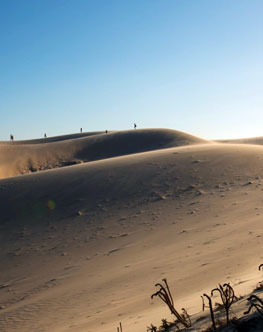 Duna Desert Spain
