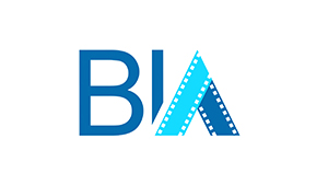 BLUE ICE AFRICA LOGO